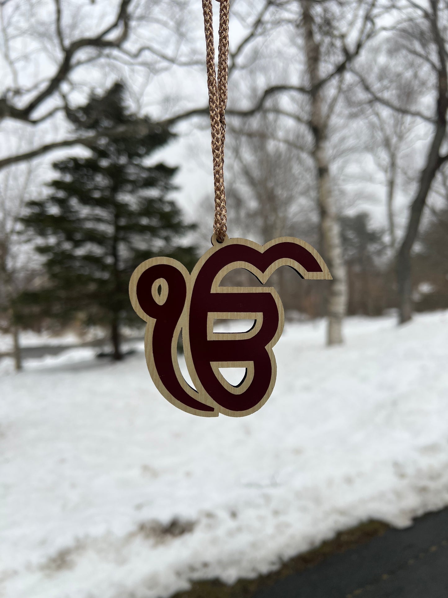 Ikk onkar wooden hanging